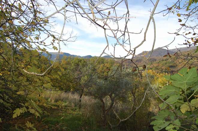 Abitazione agricola da restaurare San Ginesio