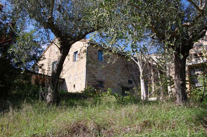 agricoltural holding Penna San Giovanni