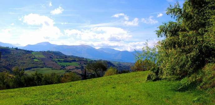 agricoltural holding Penna San Giovanni