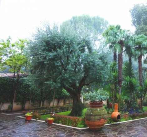 Palazzo Acqua ad Osimo