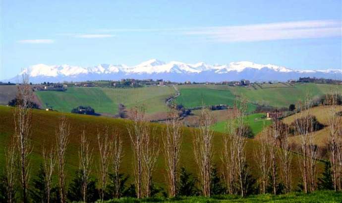 Magnific Villa in the countryside of Macerata
