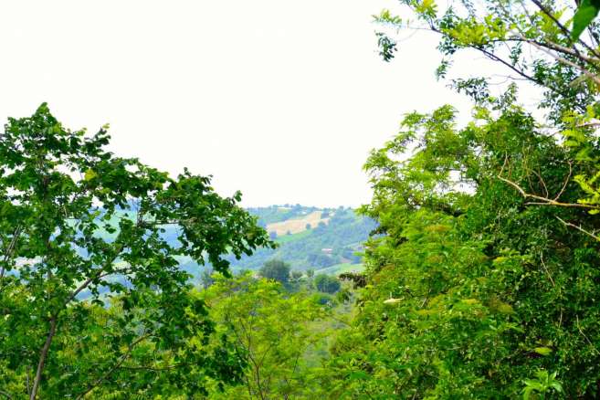 Farmhouse to rebuild for sale just outside the historic center of Colmurano, Macerata, Le Marche