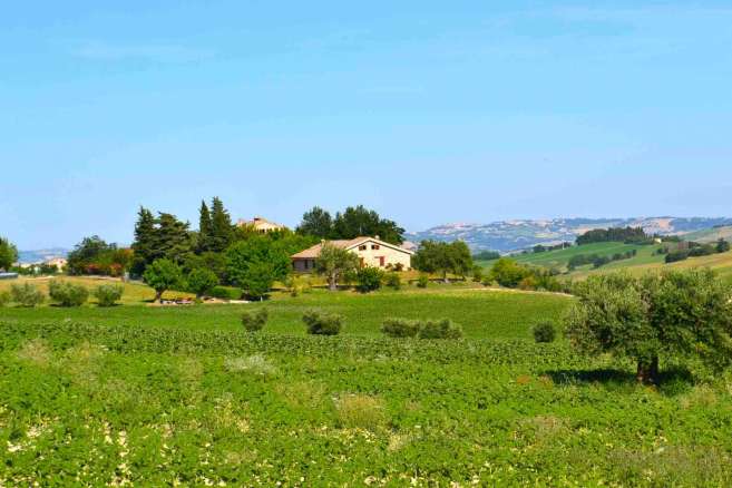 Villa singola con piscina e giardino in vendita a Cingoli, Marche