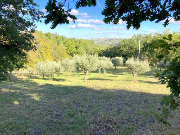 Casale con annessi e terreno in San Ginesio