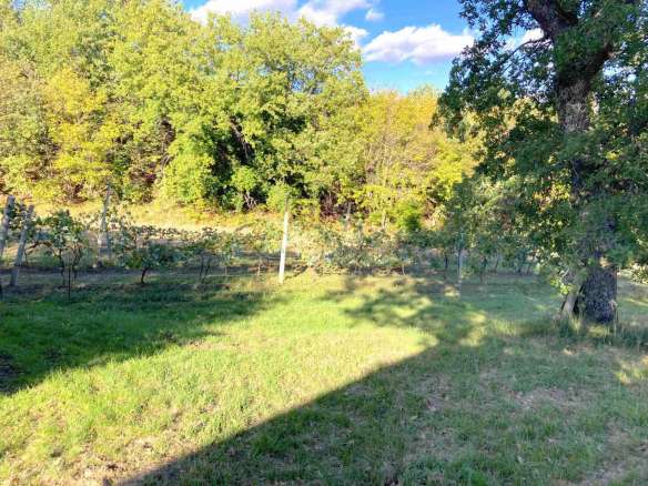 Casale con annessi e terreno in San Ginesio