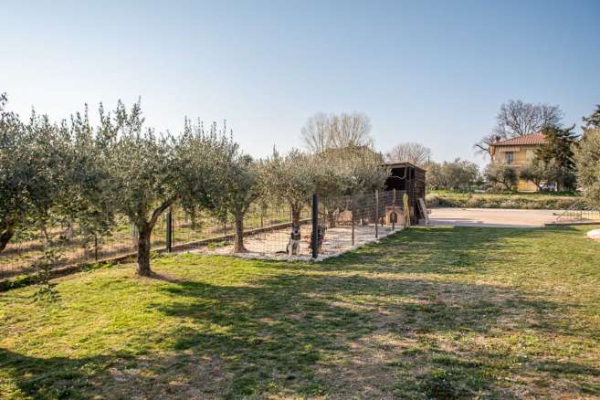 Villa with swimming pool Montecassiano (MC)