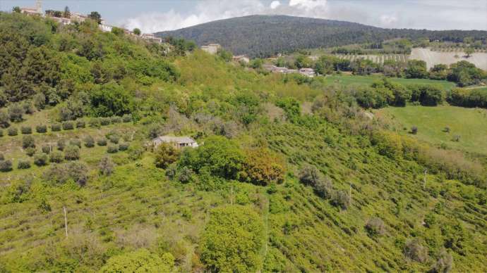 Farmhouse and land Conero 