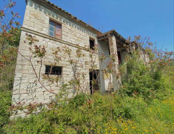 Farmhouse and land Conero 