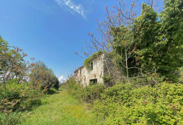 Farmhouse and land Conero 
