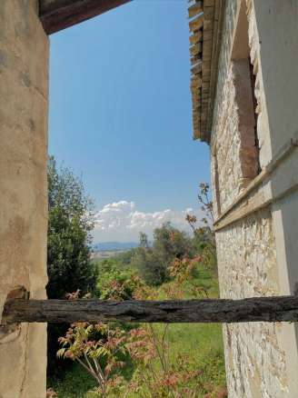 Farmhouse and land Conero 