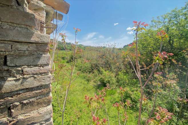 Farmhouse and land Conero 