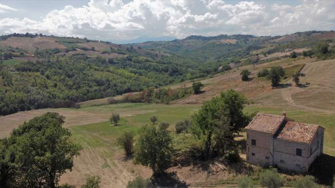 Farmhouse dell'Angelo 