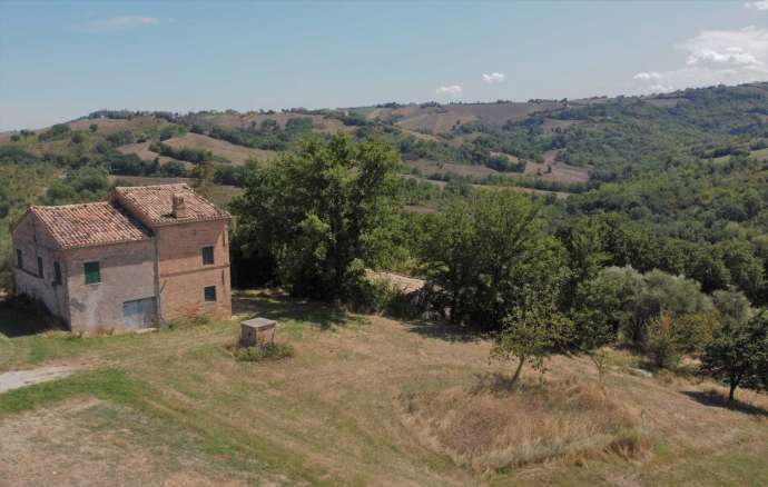 Farmhouse dell'Angelo 