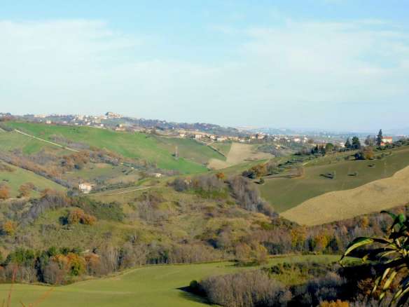 Podere agricolo con vari fabbricati e terreni a Sant'Angelo in Pontano (MC)