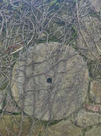 Rustico ristrutturato a San Ginesio