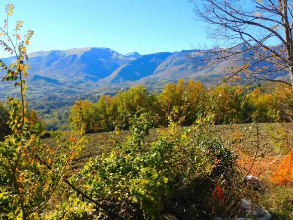 Villetta bifamiliare con corte a San Ginesio