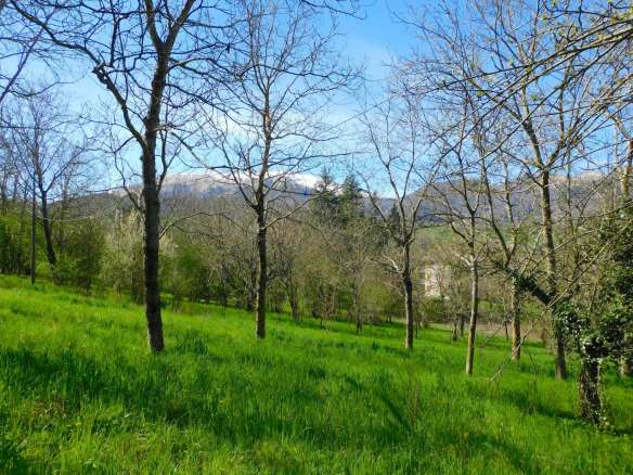 Casale a Taliani con ampia corte e accessori