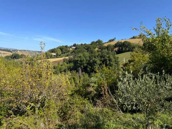 Fabbricato rurale con terreno a San Ginesio, Contrada Macchie