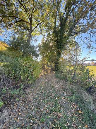 Ruins and agricultural land in San Ginesio