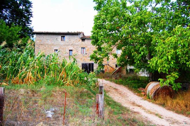 Podere pietra da Pontano