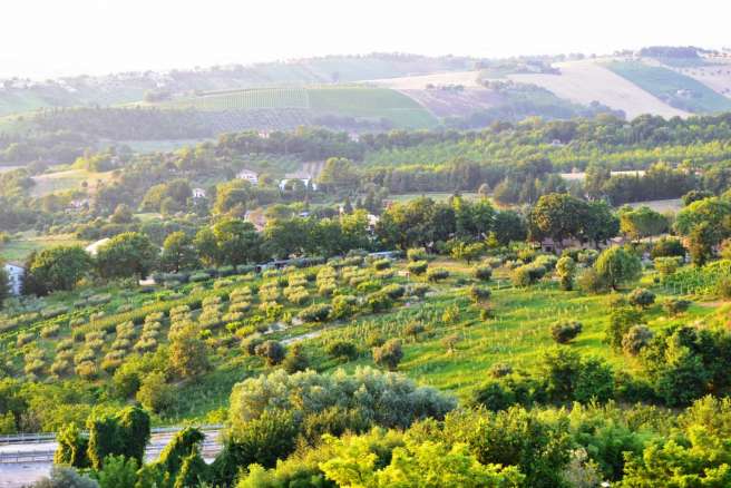 Casolare in vendita nella di campagna di Macerata