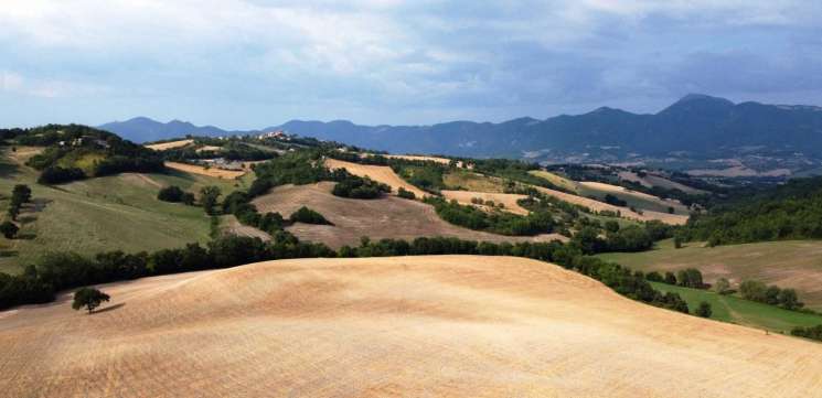 Discover Le Marche...