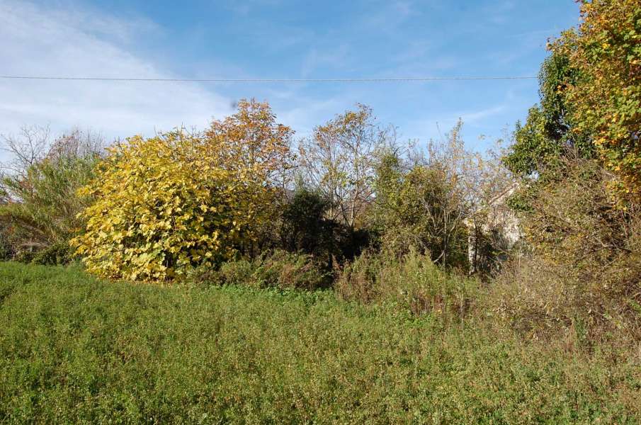 Abitazione agricola da restaurare San Ginesio