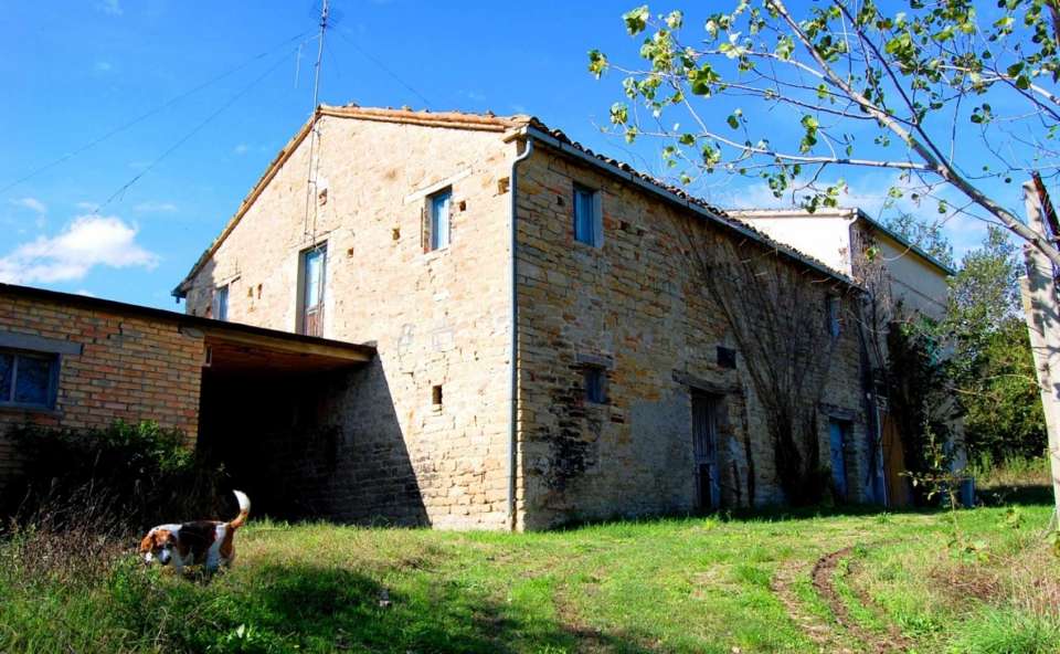 agricoltural holding Penna San Giovanni