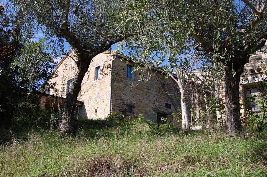 agricoltural holding Penna San Giovanni