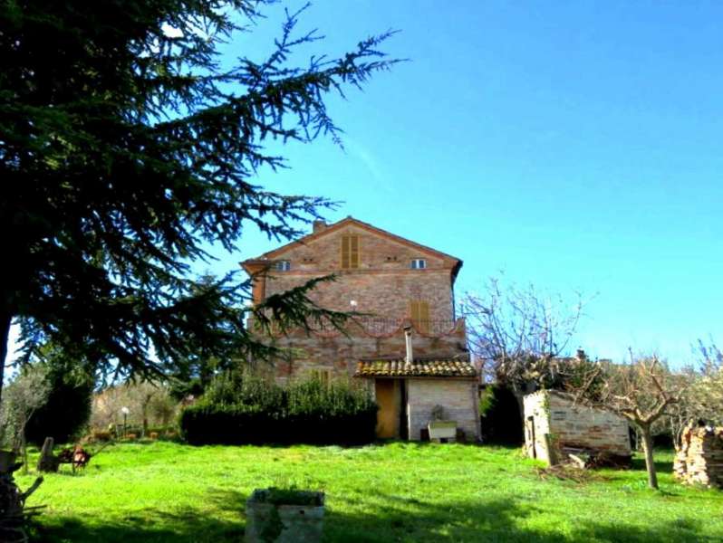 Brick built house with exclusive garden and olive grove for sale in the countryside of Falerone, Fermo province, Marche