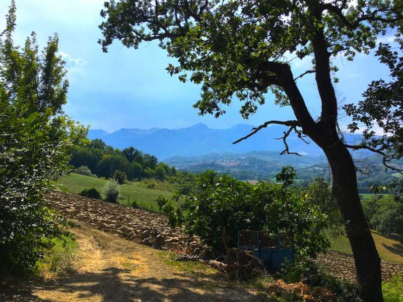 casale ristrutturato con terreno a sarnano in contrada schito