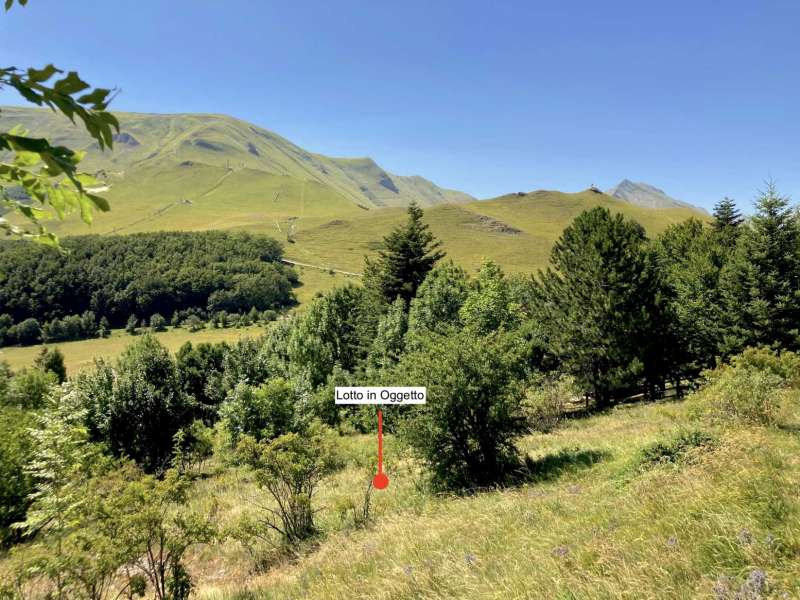 Terreno Edificabile alle pendici dei Monti Sibillini