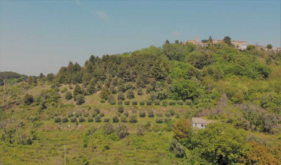 Farmhouse and land Conero 