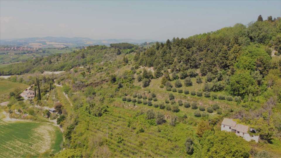 Farmhouse and land Conero 