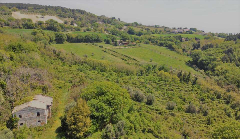 Farmhouse and land Conero 