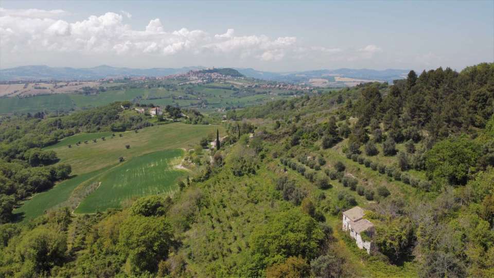 Farmhouse and land Conero 