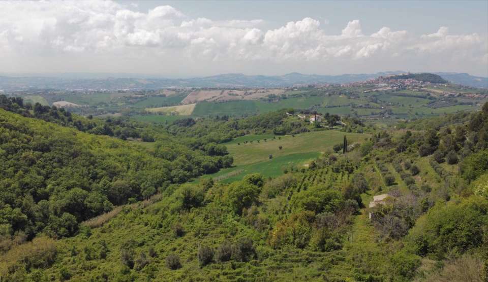Farmhouse and land Conero 