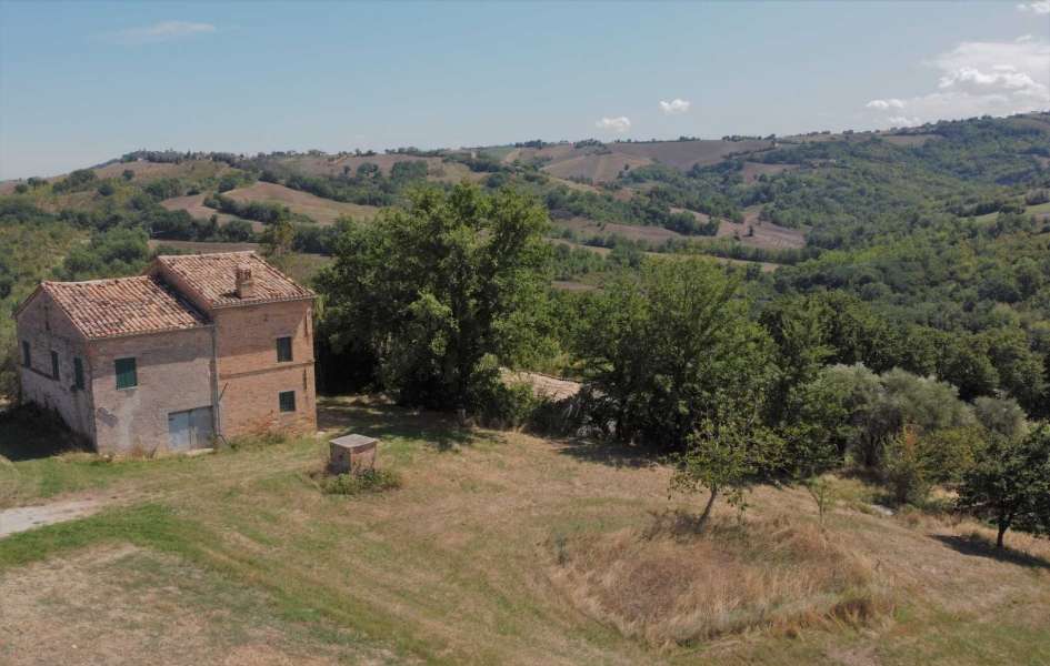 Farmhouse dell'Angelo 