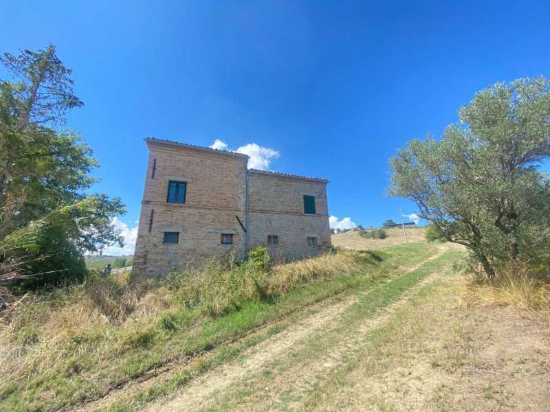 Farmhouse dell'Angelo 