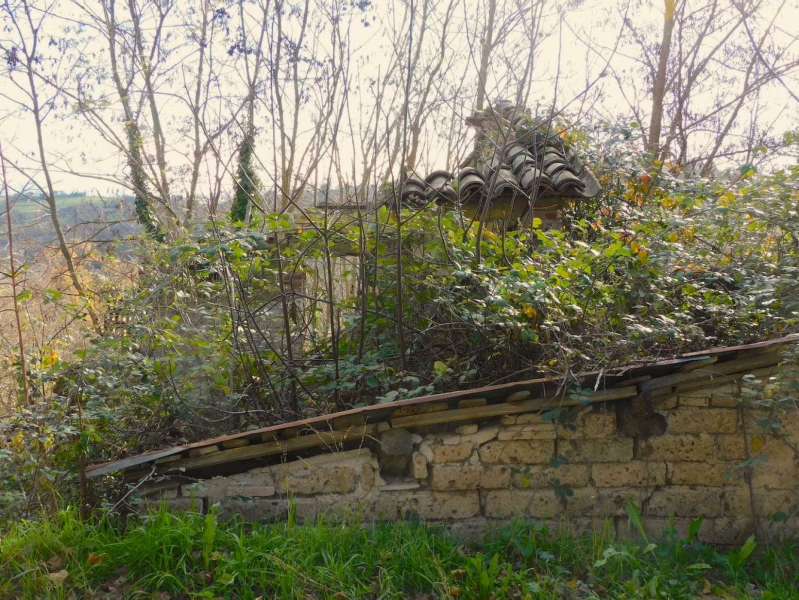 Rudere con vista panoramica