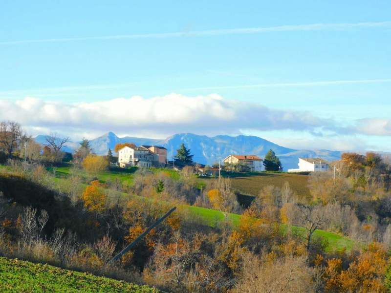 Podere agricolo con vari fabbricati e terreni a Sant'Angelo in Pontano (MC)