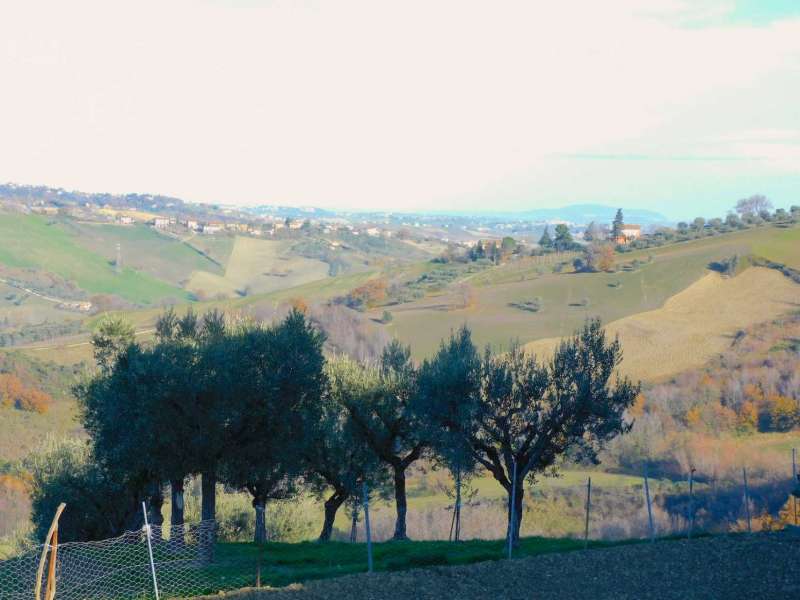 Podere agricolo con vari fabbricati e terreni a Sant'Angelo in Pontano (MC)