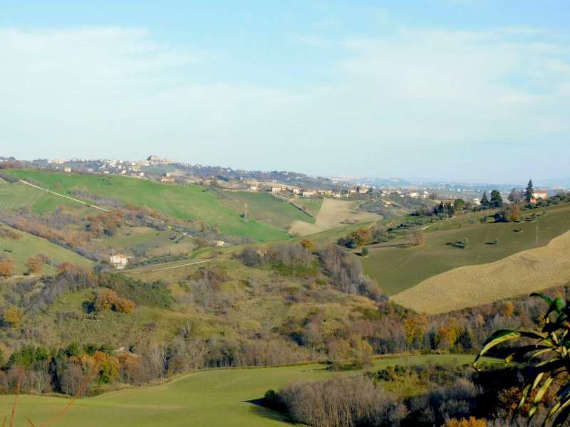 Podere agricolo con vari fabbricati e terreni a Sant'Angelo in Pontano (MC)
