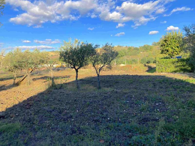 Lotto edificabile in area residenziale in forte sviluppo