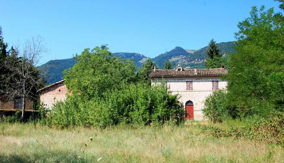 Farmhouse special offer Marche