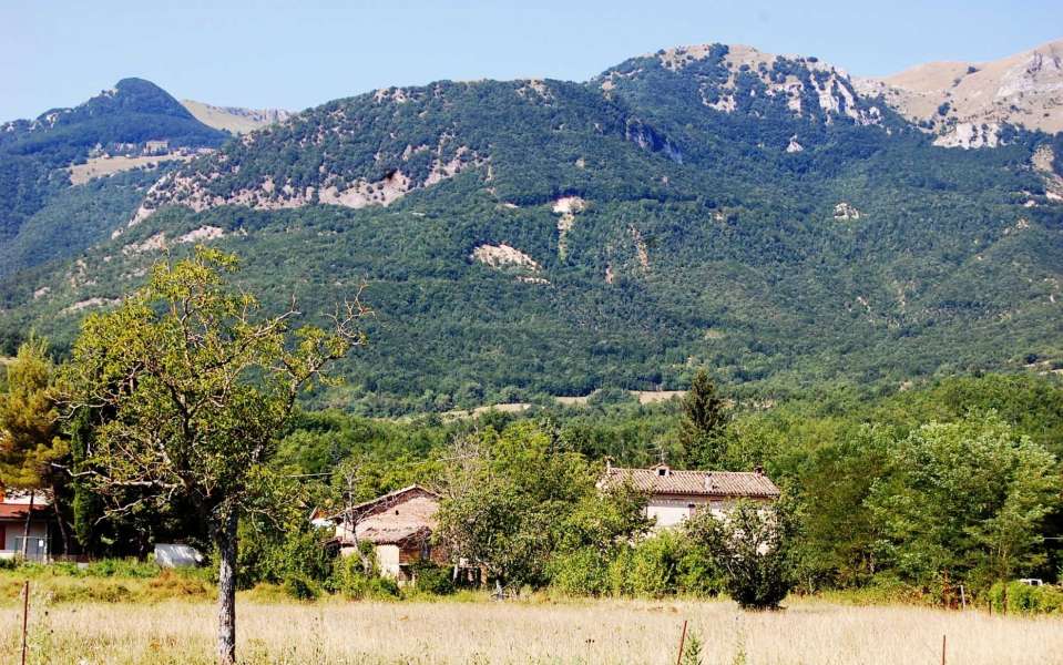 Farmhouse special offer Marche