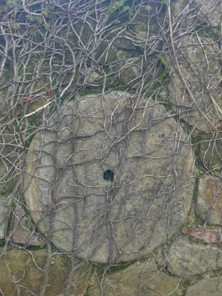 Rustico ristrutturato a San Ginesio