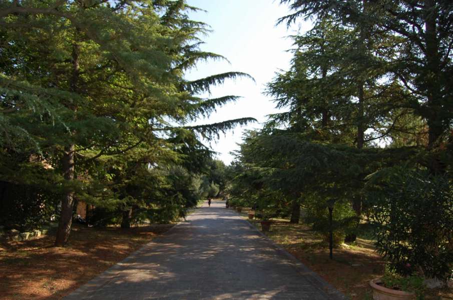 Prestigiosa Villa Conero in vendita Marche Estates