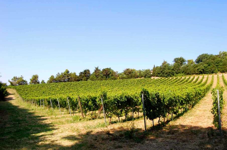 Prestigiosa Villa Conero in vendita Marche Estates