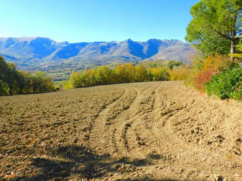 Villetta bifamiliare con corte a San Ginesio
